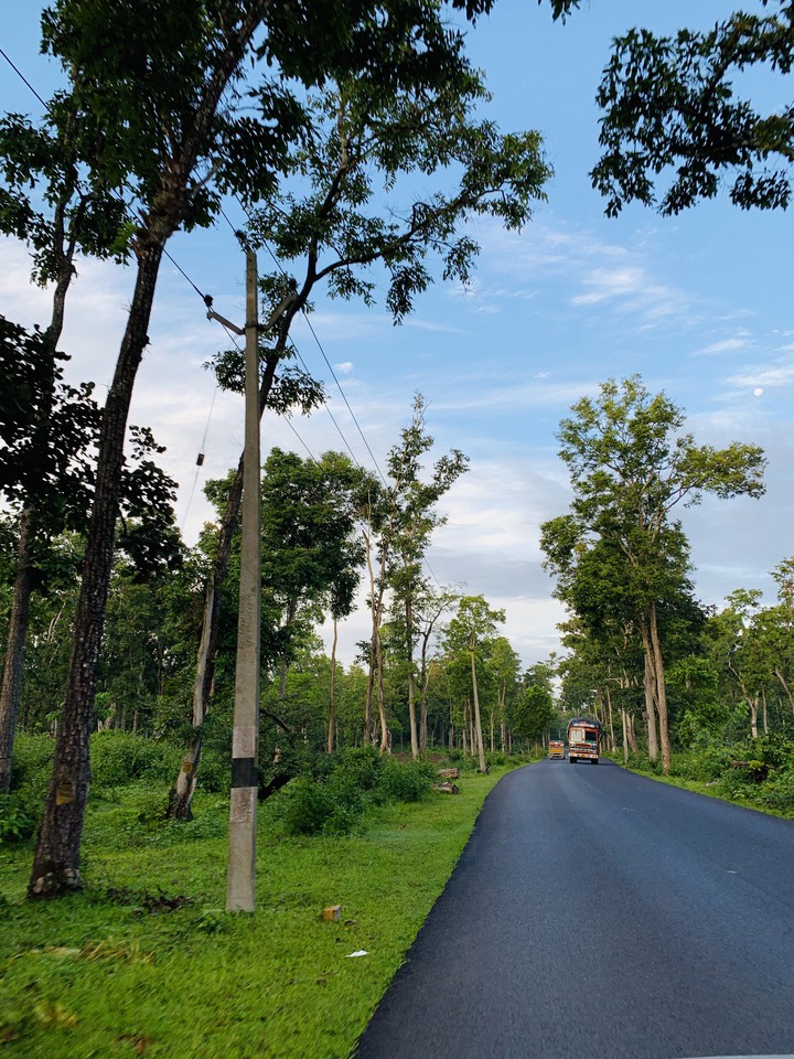 Road to Ooty