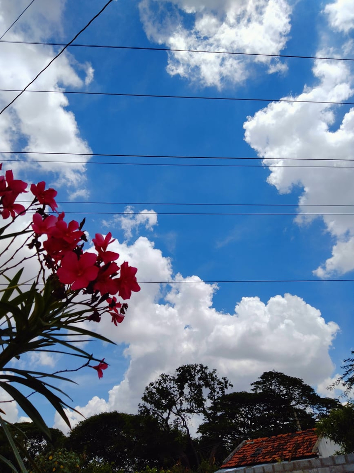 beautiful Sky,?
