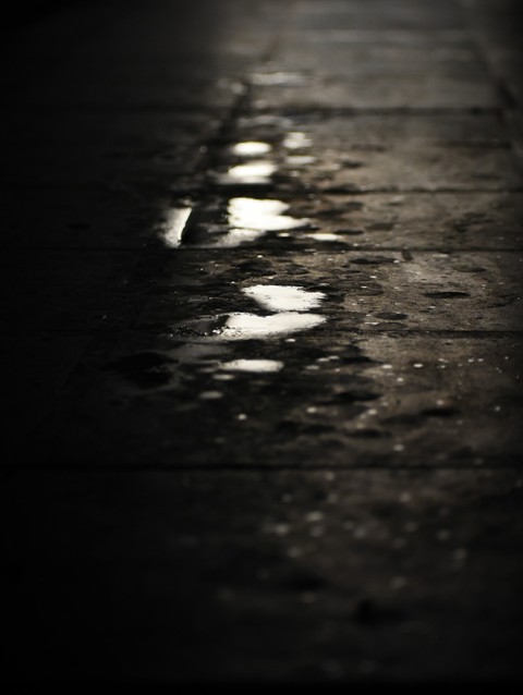 rain drops..