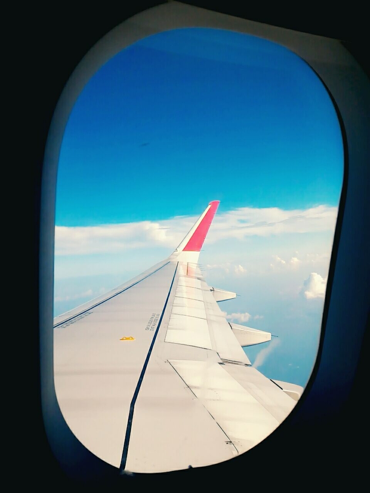 Fly