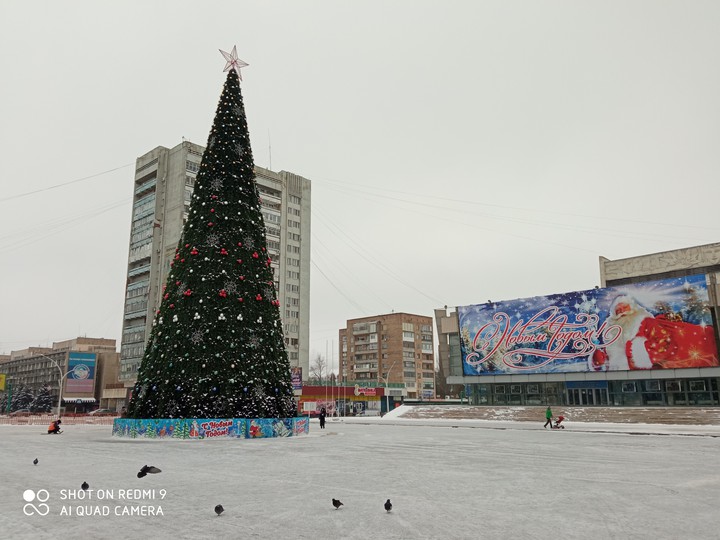 Городская ёлка