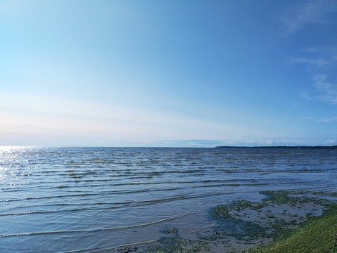 14.07.2019 Финский залив