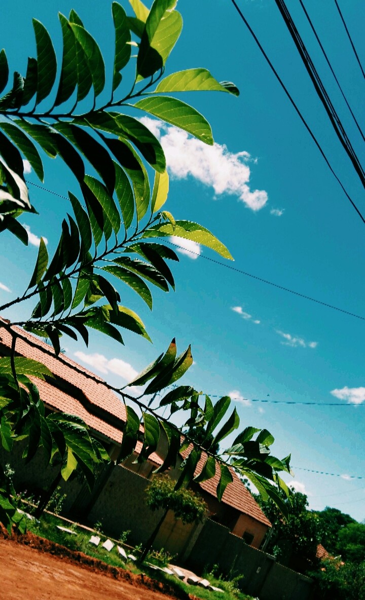 Céu