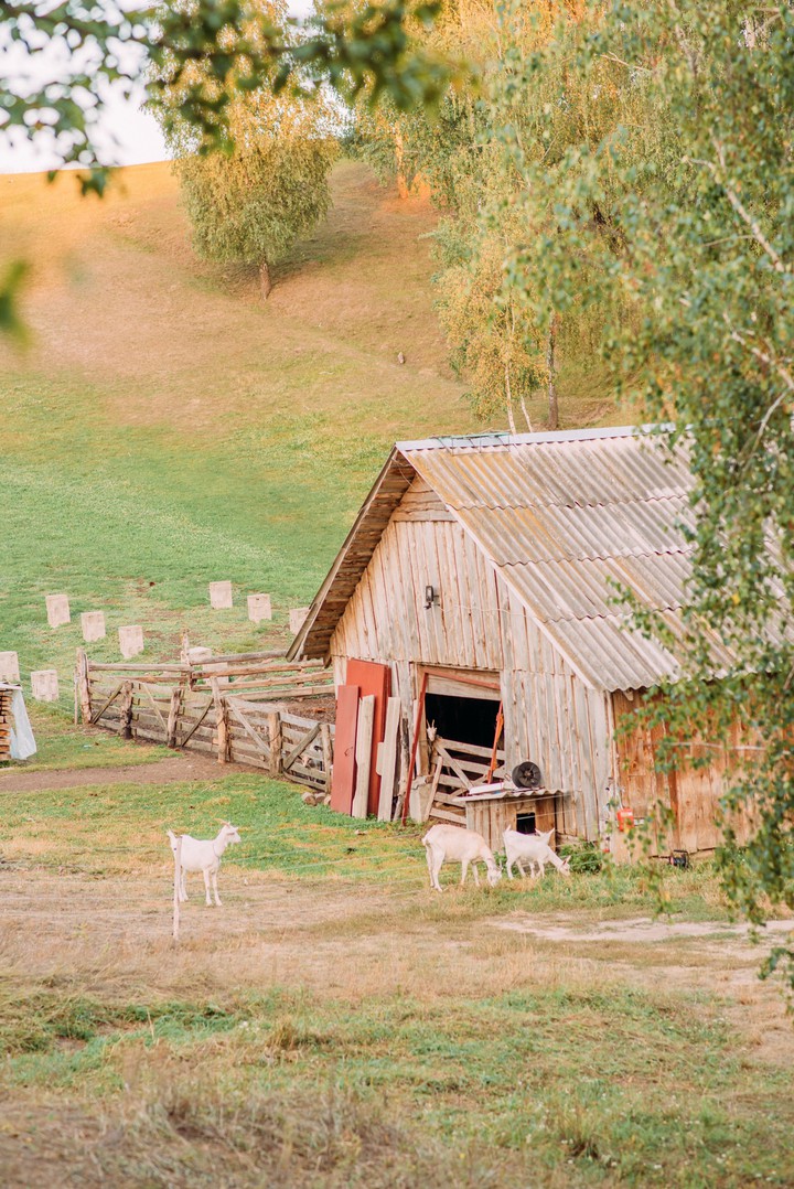 rural