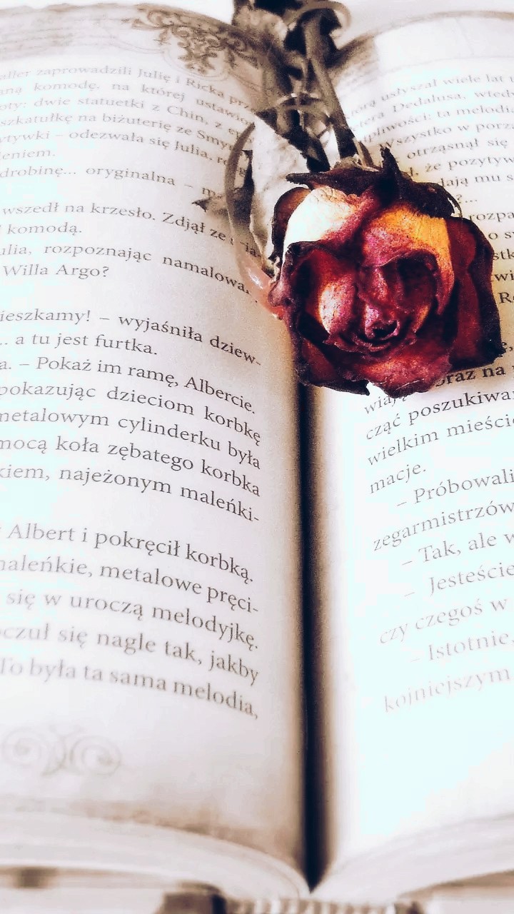 книга