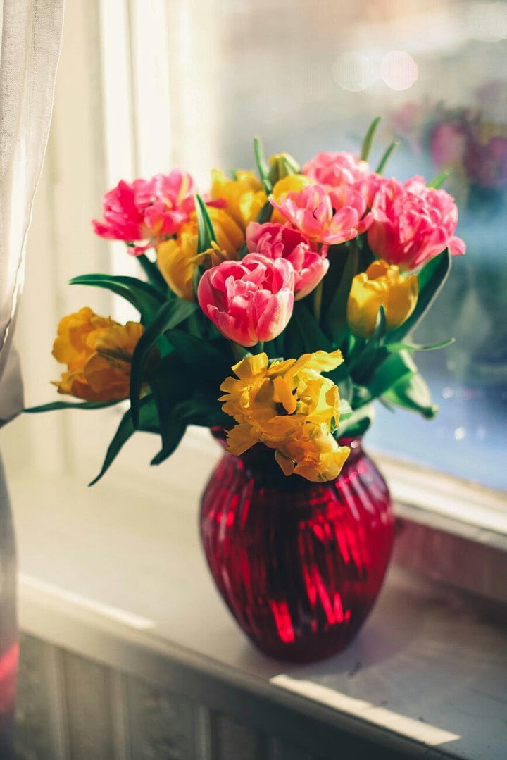 Pink and Yellow Petaled Flower on Red Glass Vase :D