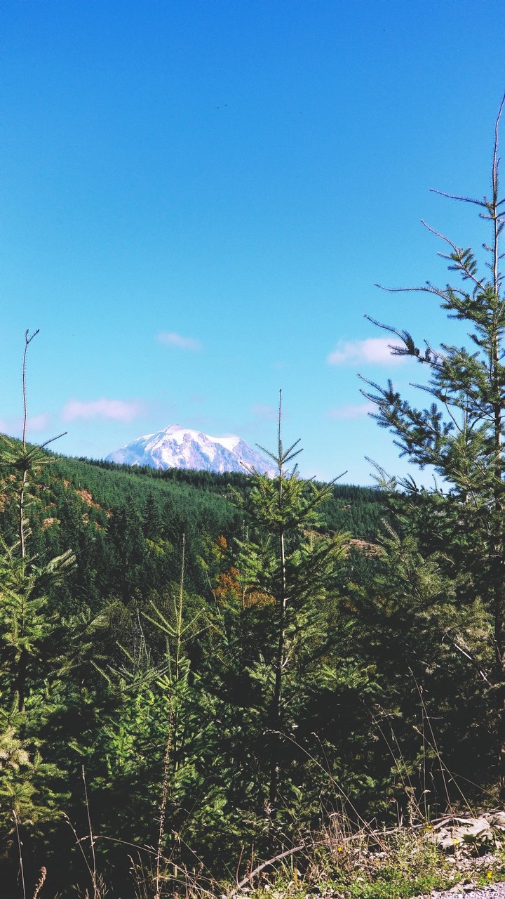 summer mountain view