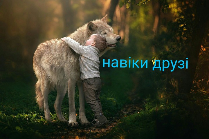 друзі