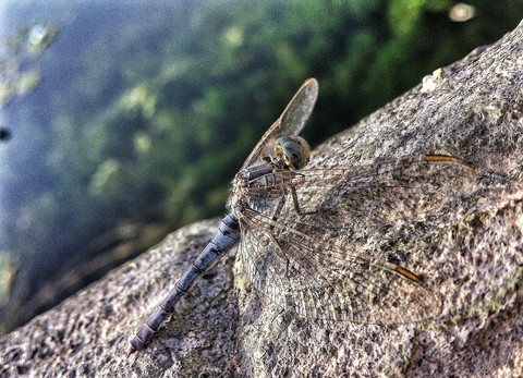 Take Off