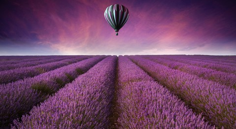 Nature landscape