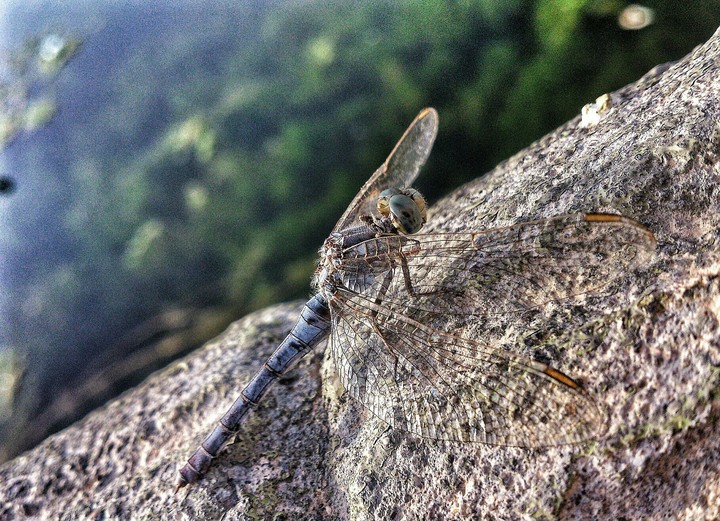 Take Off