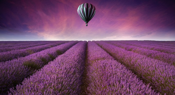 Nature landscape