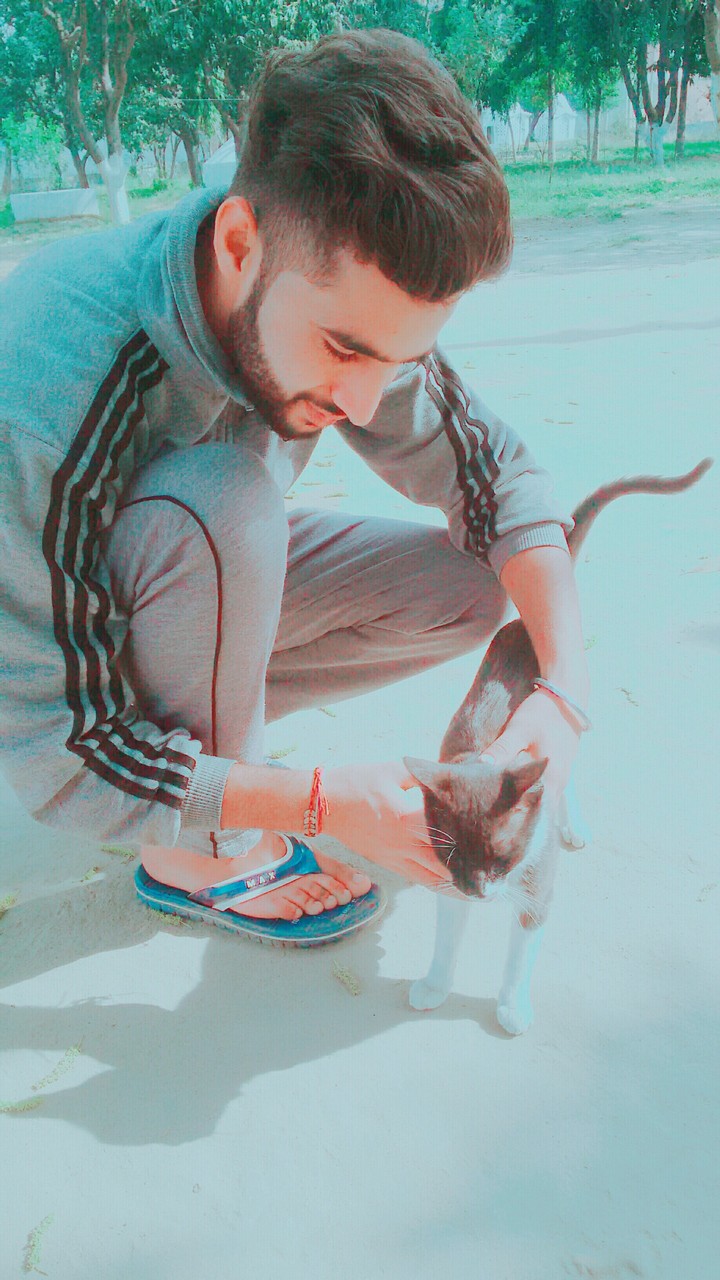 #cute cat