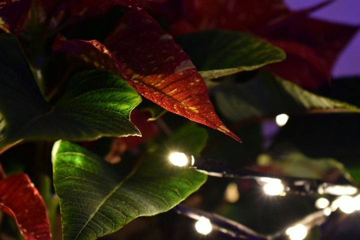 winter