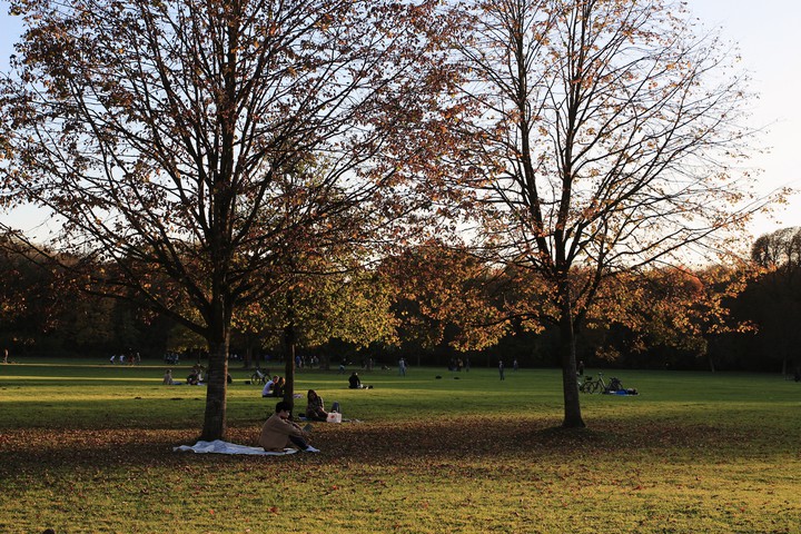 Englischer Garten