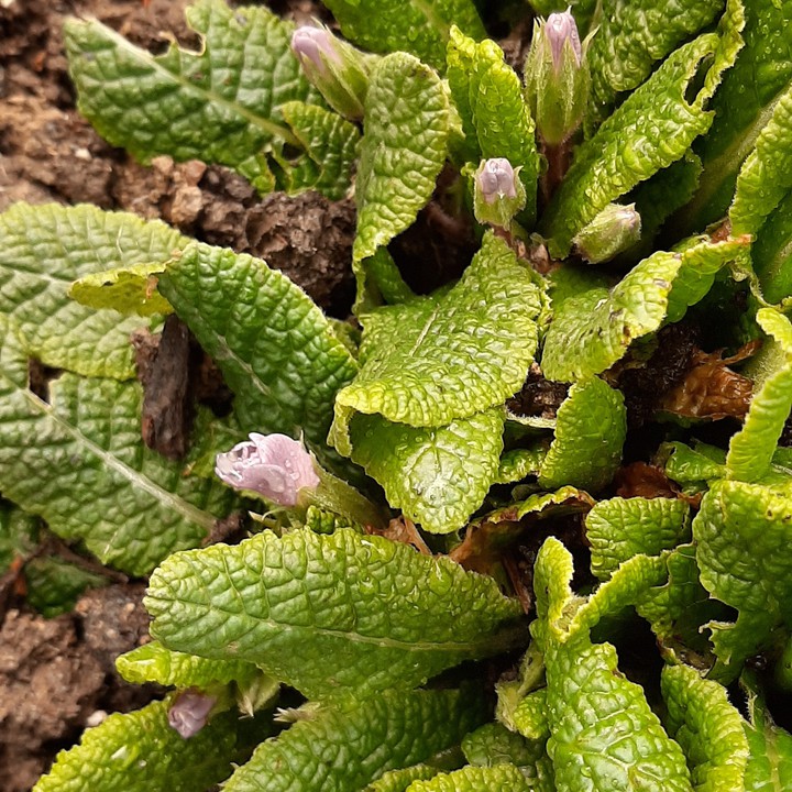 merveille du monde