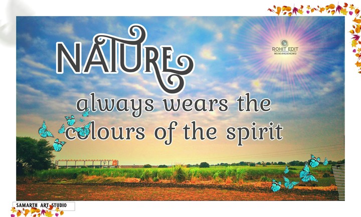 Nature beauty