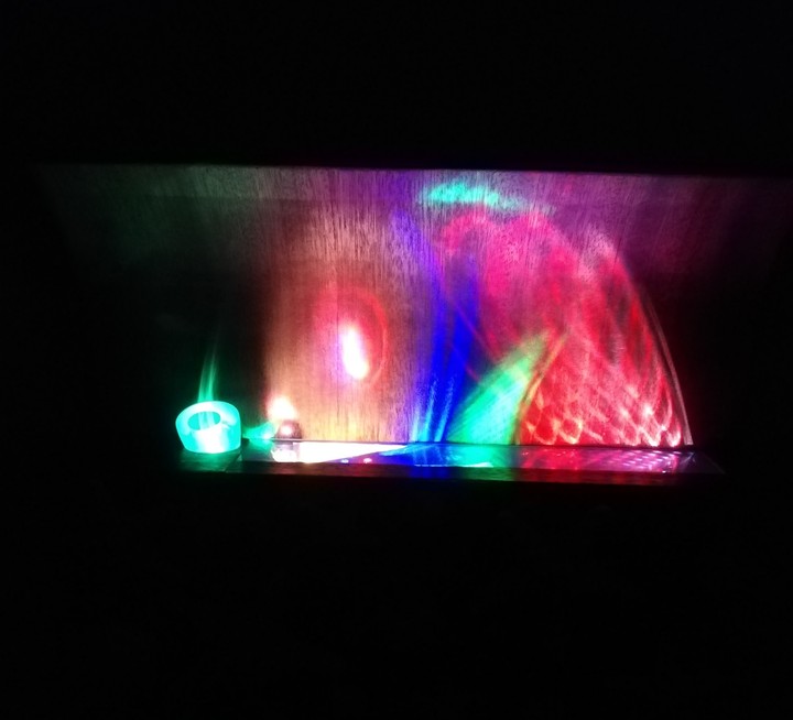 Electric fish