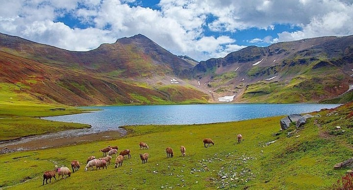 NATURE