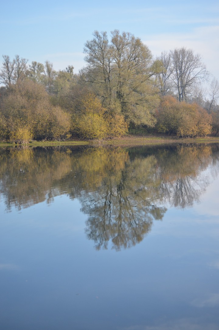 Reflection