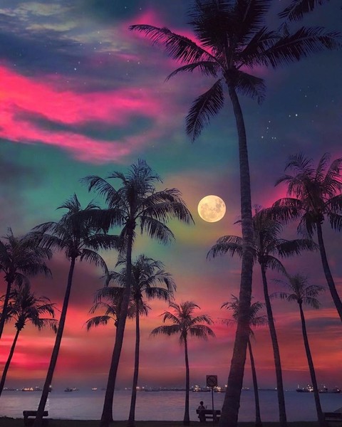 Romantic moon in purple sky