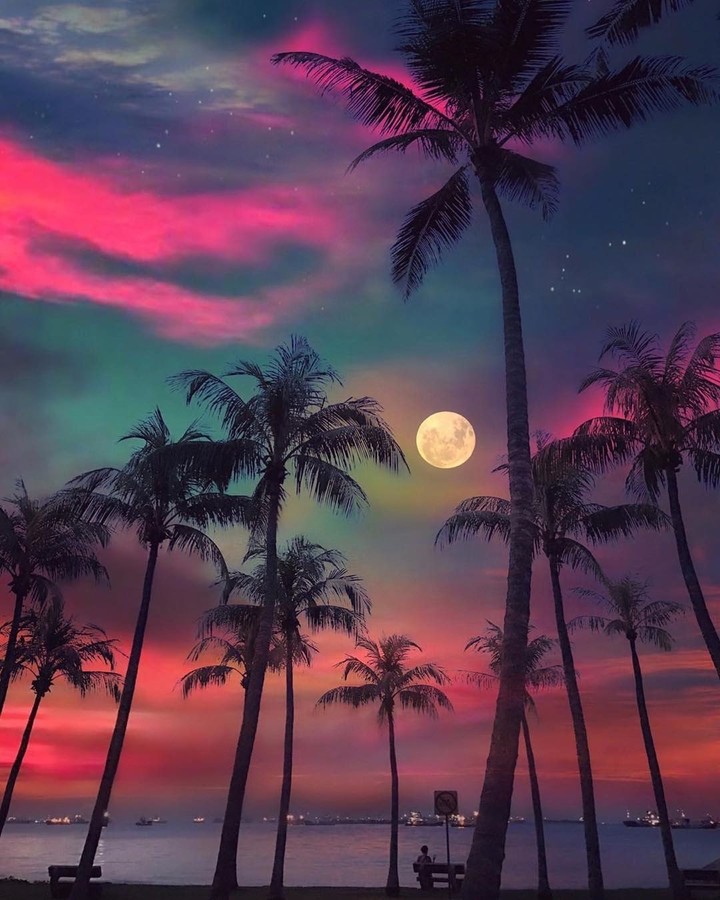 Romantic moon in purple sky