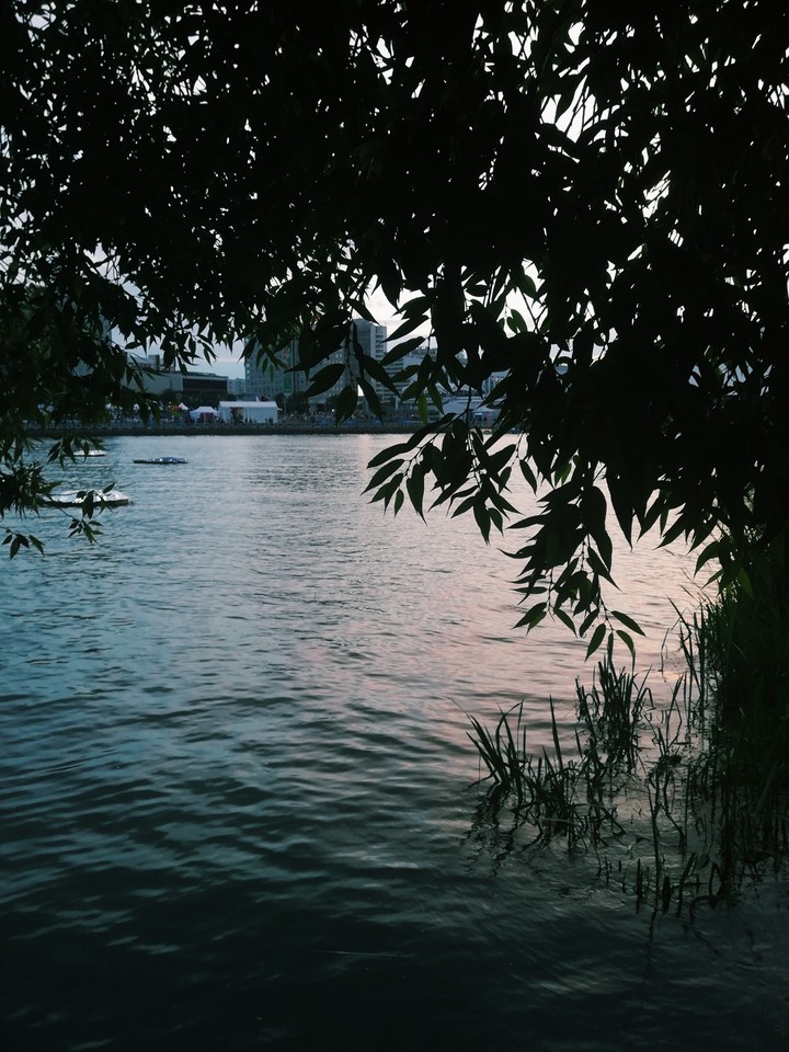 evening