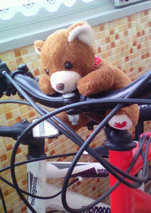 bike
