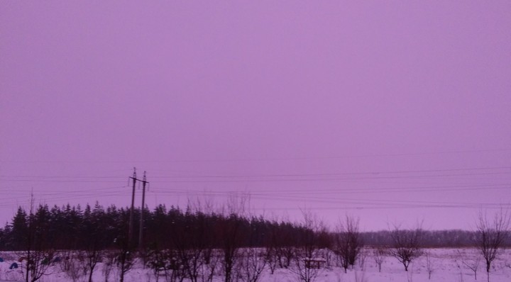 Pink morning