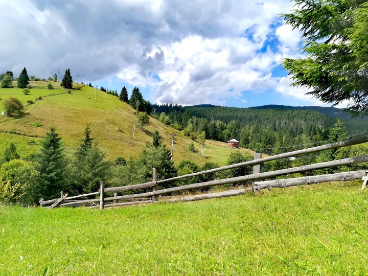 Carpathian
