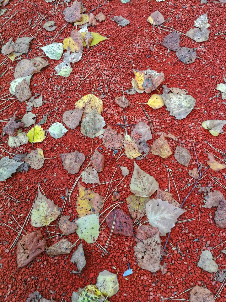 autumn