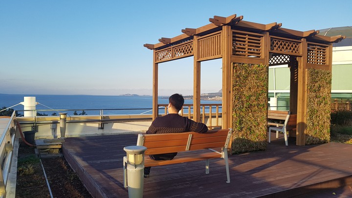 jeju