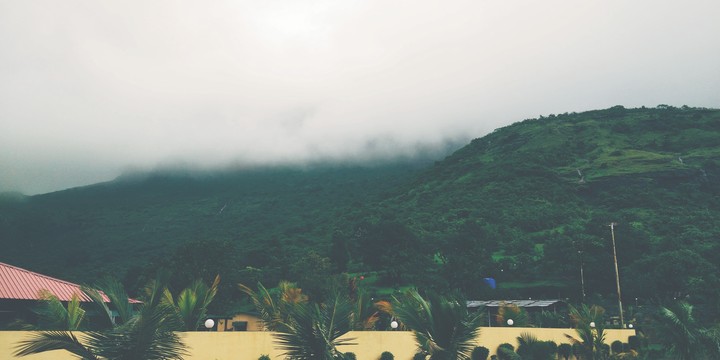 REAL Nature