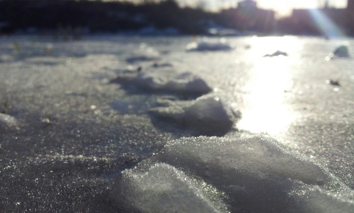ice