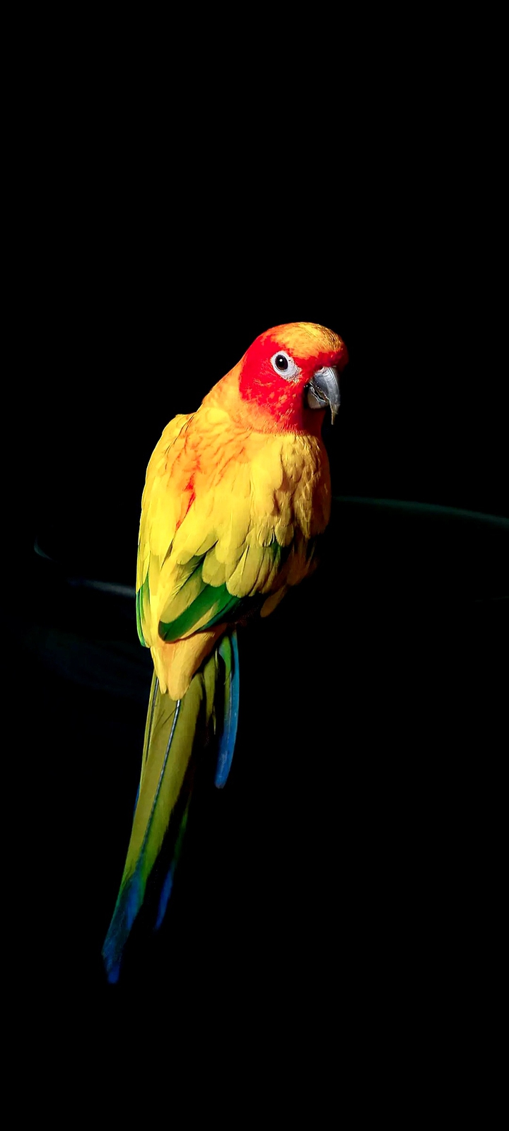 yellow