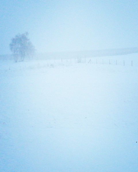 Schnee früh am Morgen