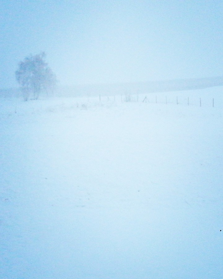 Schnee früh am Morgen