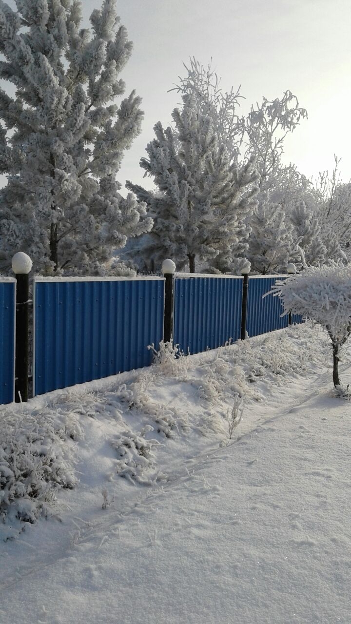 зима