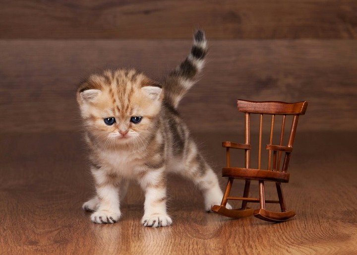 Cute