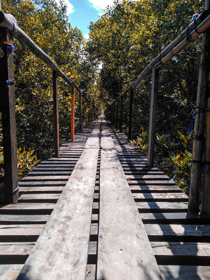 Sasmuan Pampanga Mangrove Ecopark