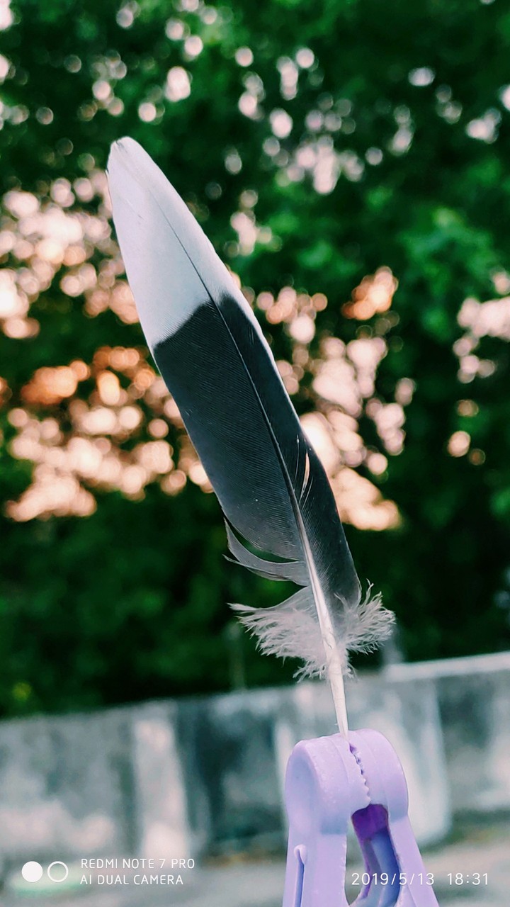kukri