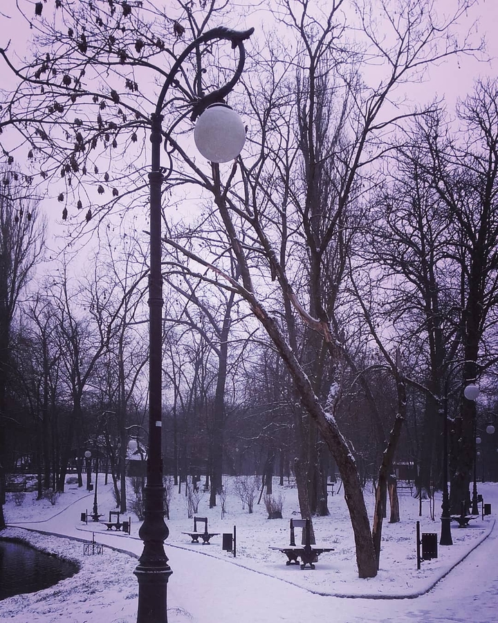 Winter view