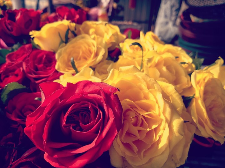 wake up , smile and say today is my day!