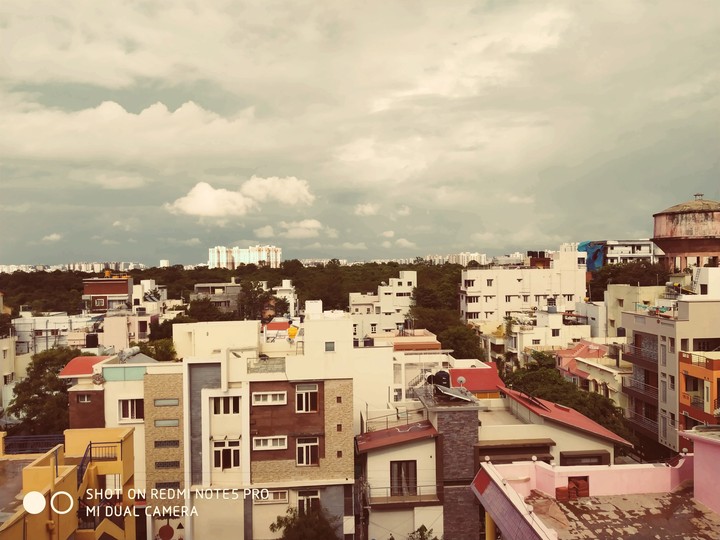 weather
