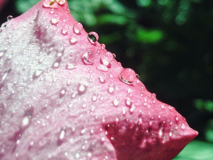 Drops