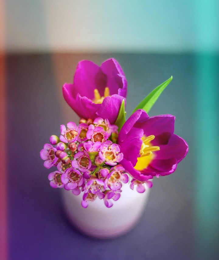 Pink