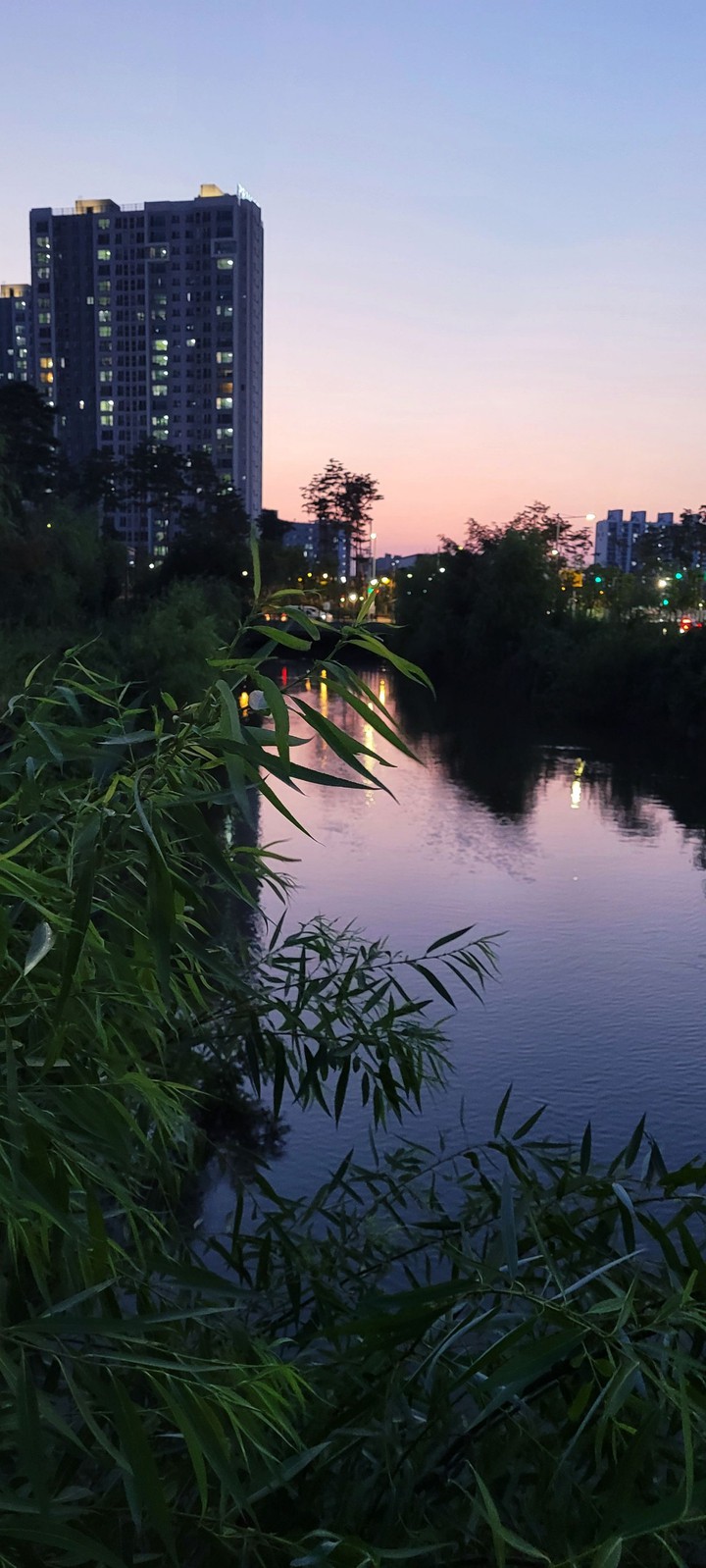 야경