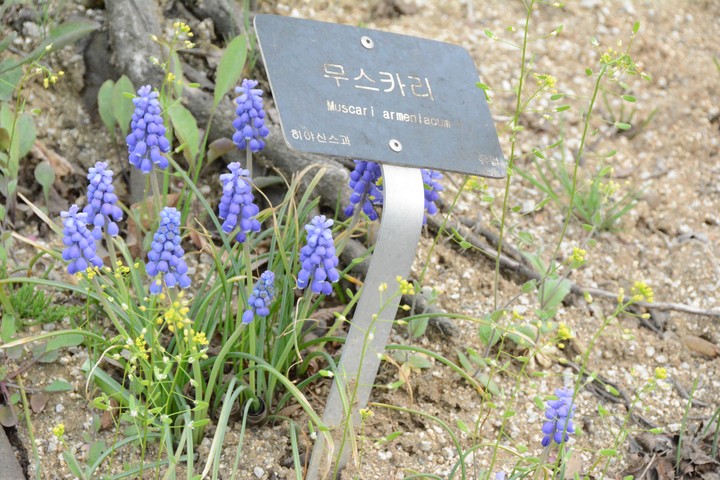 풍경이미지