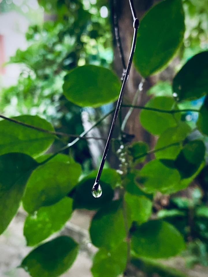 water droplet