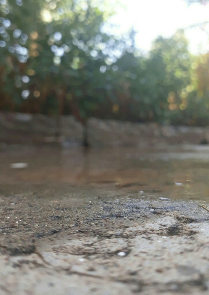 #ground #water #green